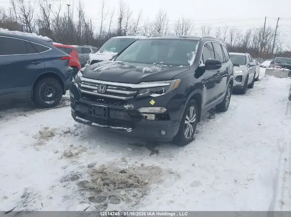 5FNYF6H55GB504303 2016 HONDA PILOT - Image 2