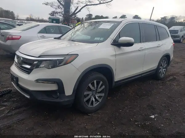 5FNYF6H55KB011181 2019 HONDA PILOT - Image 2
