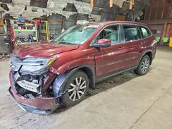 5FNYF6H55KB013304 2019 HONDA PILOT