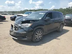 5FNYF6H55KB021161 2019 HONDA PILOT
