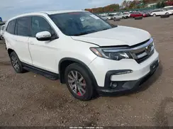5FNYF6H55KB080520 2019 HONDA PILOT