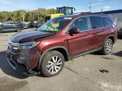 5FNYF6H55MB038318 2021 HONDA PILOT
