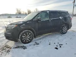 5FNYF6H55NB035937 2022 HONDA PILOT
