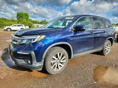 5FNYF6H56KB023162 2019 HONDA PILOT