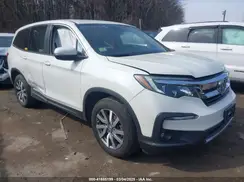5FNYF6H56KB025252 2019 HONDA PILOT