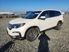 5FNYF6H56KB063404 2019 HONDA PILOT