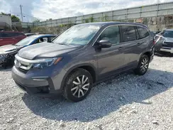 5FNYF6H56KB066660 2019 HONDA PILOT