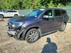 5FNYF6H56KB101472 2019 HONDA PILOT