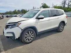 5FNYF6H57KB086593 2019 HONDA PILOT