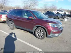 5FNYF6H59KB018070 2019 HONDA PILOT