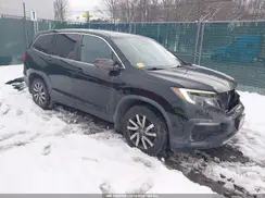 5FNYF6H59KB049979 2019 HONDA PILOT