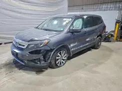 5FNYF6H5XKB027117 2019 HONDA PILOT
