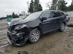 5FNYF6H5XKB033466 2019 HONDA PILOT