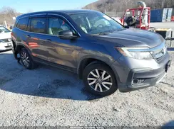 5FNYF6H5XKB035539 2019 HONDA PILOT