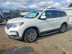 5FNYF6H5XKB057136 2019 HONDA PILOT