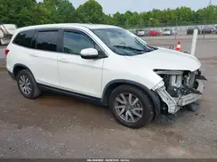 5FNYF6H5XKB083493 2019 HONDA PILOT