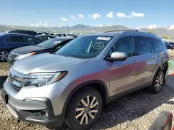 5FNYF6H5XKB091934 2019 HONDA PILOT