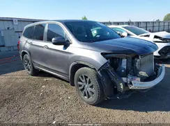 5FNYF6H5XKB093439 2019 HONDA PILOT