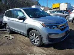 5FNYF6H5XKB099774 2019 HONDA PILOT