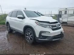 5FNYF6H61MB067923 2021 HONDA PILOT