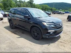 5FNYF6H62GB054991 2016 HONDA PILOT
