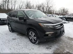 5FNYF6H65GB032564 2016 HONDA PILOT