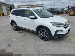 5FNYF6H67NB507841 2022 HONDA PILOT
