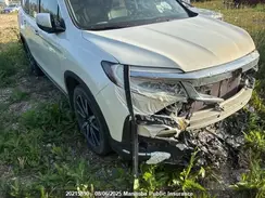 5FNYF6H69KB507223 2019 HONDA PILOT