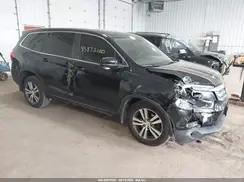 5FNYF6H70GB126389 2016 HONDA PILOT