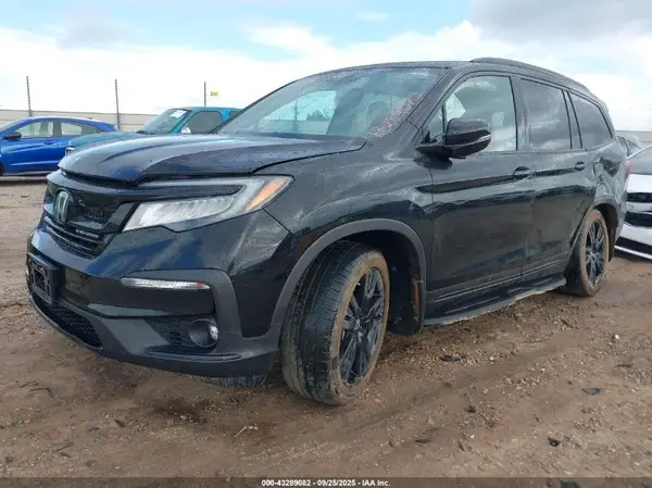 5FNYF6H70MB012629 2021 HONDA PILOT - Image 2