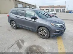 5FNYF6H71GB508172 2016 HONDA PILOT