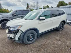 5FNYF6H71KB507175 2019 HONDA PILOT