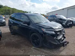 5FNYF6H71MB045641 2021 HONDA PILOT