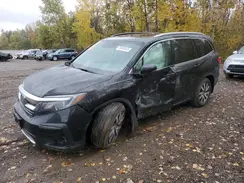 5FNYF6H71MB502738 2021 HONDA PILOT