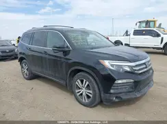 5FNYF6H72HB502821 2017 HONDA PILOT