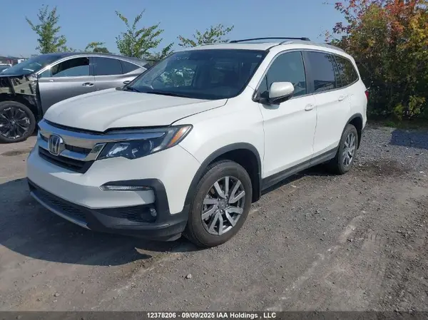5FNYF6H72MB501274 2021 HONDA PILOT - Image 2