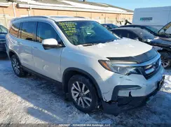 5FNYF6H72MB501954 2021 HONDA PILOT