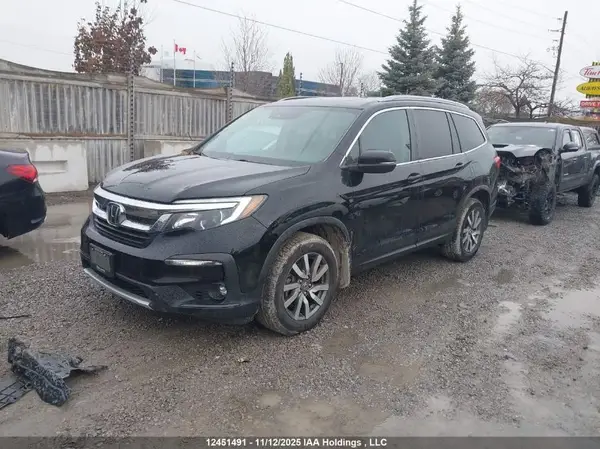 5FNYF6H73LB504411 2020 HONDA PILOT - Image 2