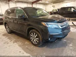 5FNYF6H75LB503664 2020 HONDA PILOT
