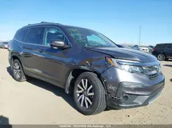 5FNYF6H75LB504894 2020 HONDA PILOT