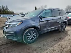 5FNYF6H75MB503570 2021 HONDA PILOT