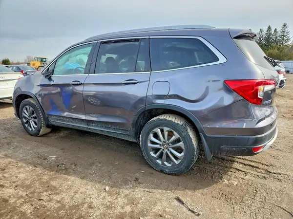 5FNYF6H75MB503570 2021 HONDA PILOT - Image 2