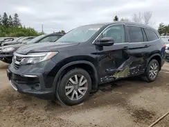 5FNYF6H77LB500894 2020 HONDA PILOT