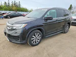 5FNYF6H77LB505934 2020 HONDA PILOT