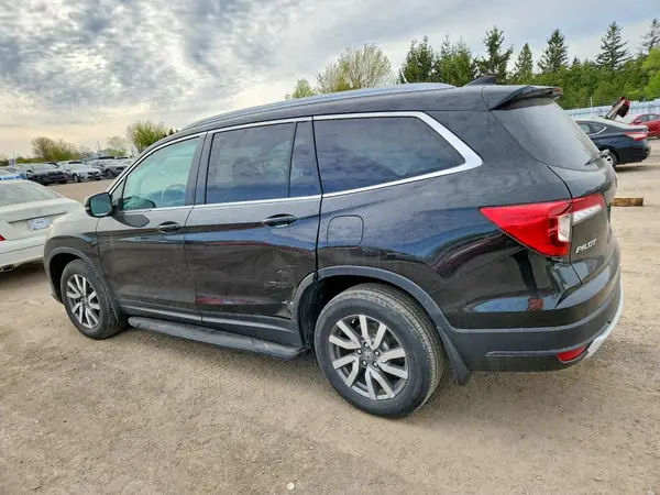 5FNYF6H77LB505934 2020 HONDA PILOT - Image 2