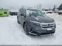 5FNYF6H77MB501237 2021 HONDA PILOT