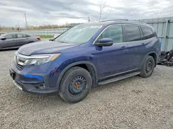 5FNYF6H77NB501434 2022 HONDA PILOT