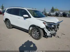 5FNYF6H78LB500323 2020 HONDA PILOT