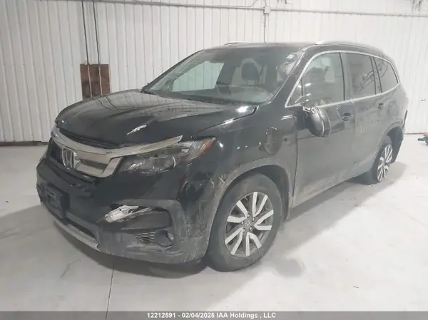5FNYF6H78LB501505 2020 HONDA PILOT - Image 2