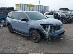 5FNYF6H83NB039494 2022 HONDA PILOT